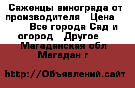 Саженцы винограда от производителя › Цена ­ 800 - Все города Сад и огород » Другое   . Магаданская обл.,Магадан г.